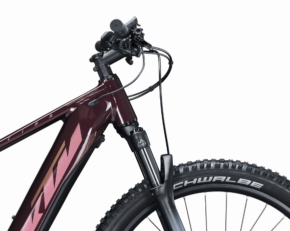 Horské elektrokolo KTM Macina Team 272 Glorious, vínové